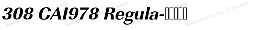 308 CAI978 Regula字体转换